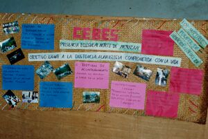 Historia de las CEBES Etapa 3 imagen3.jpg